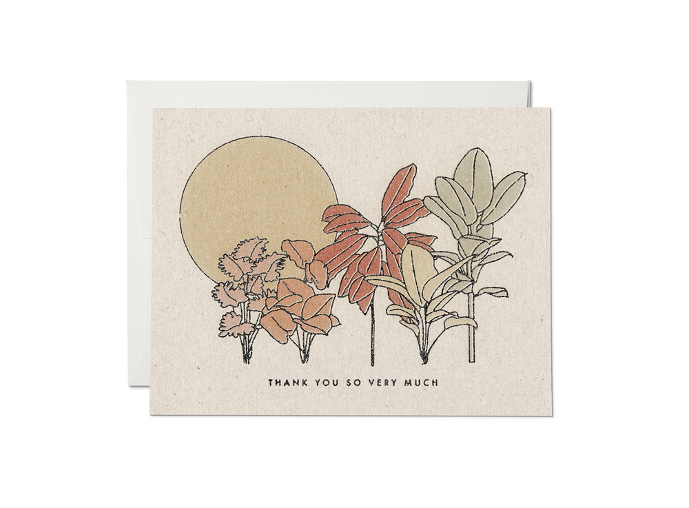 Desert Plants Card - Boxed Set