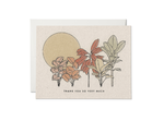 Desert Plants Card - Boxed Set